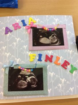 44085544_286806195268910_366556552267563008_n